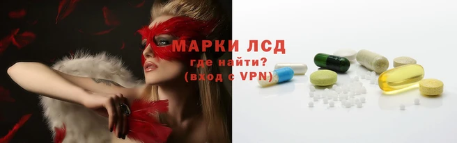 гашик Коряжма