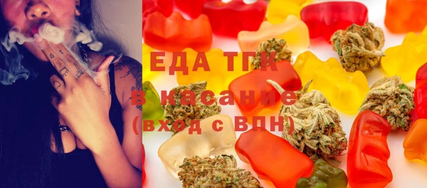 гашик Коряжма