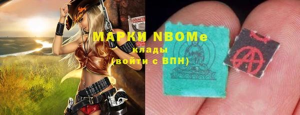 гашик Коряжма