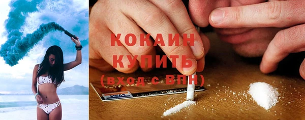 гашик Коряжма