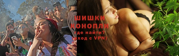 гашик Коряжма
